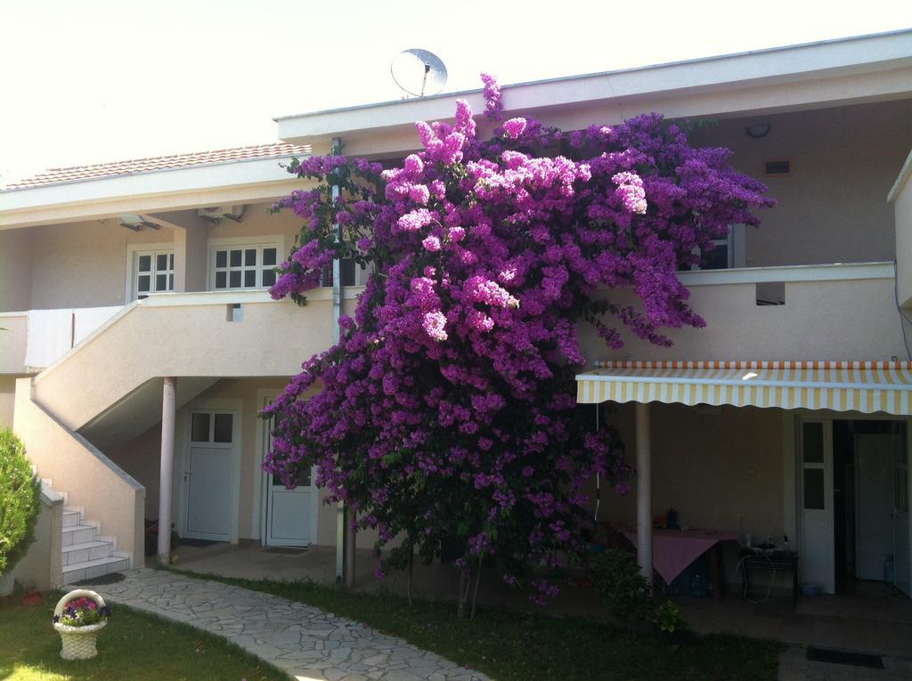 Apartments Ada Bojana Ulcinj Chambre photo